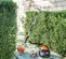 Orange, black, white and silver STIHL Double-sided Hedge Trimmer, 24 in., Gas Powered