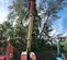2017 JLG 600S Boom Lift