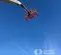 2013 JLG 860SJ Boom Lift