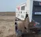 2023 Wacker Neuson G50 T4F 600V Diesel Generator